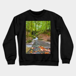 Lake District Waterfall Crewneck Sweatshirt